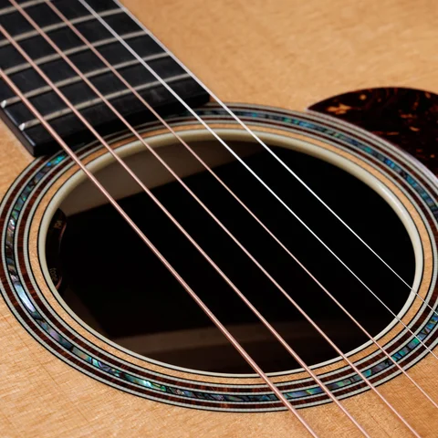 2024年の新アコースティックギター | Taylor Guitars